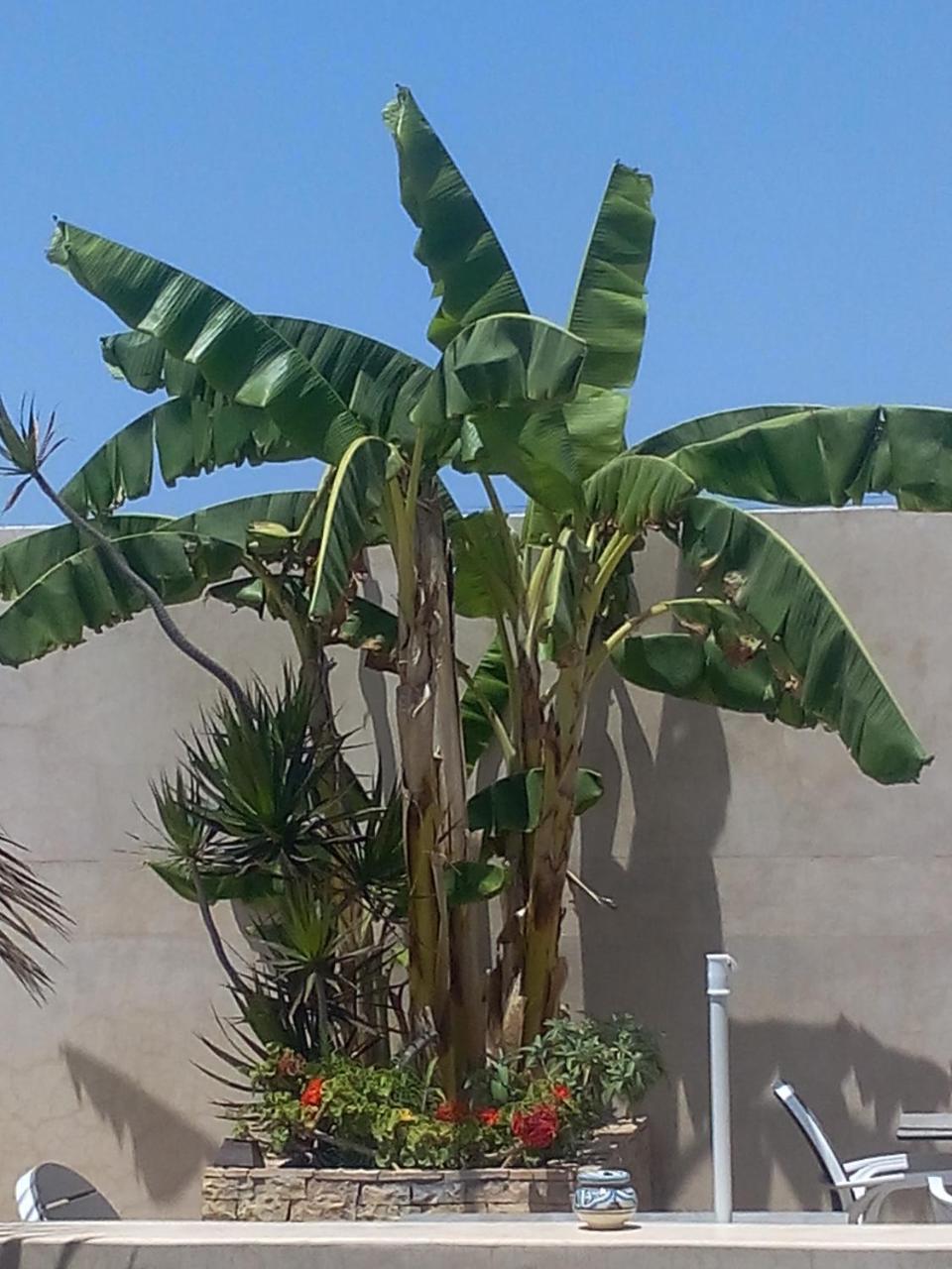 Riad La Villa & Spa El Jadida Kültér fotó