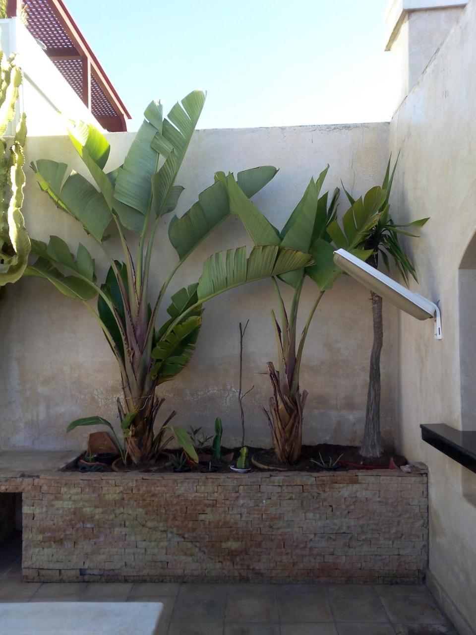 Riad La Villa & Spa El Jadida Kültér fotó